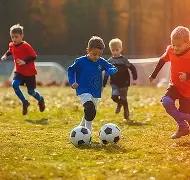 同学羽毛球,击伤眼球事,浦东法院责,易倍体育平台,易倍体育官方网站,易倍体育登录入口,易倍体育app下载