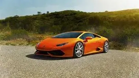 嘉兴市委书记与NBA传奇球星“老猫”会面