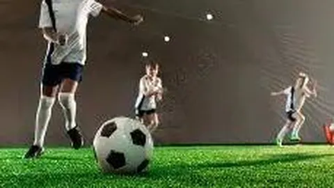 易倍体育 资讯 101951 qg3