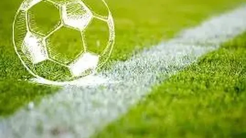 重金属污染的负面影响与防范措施